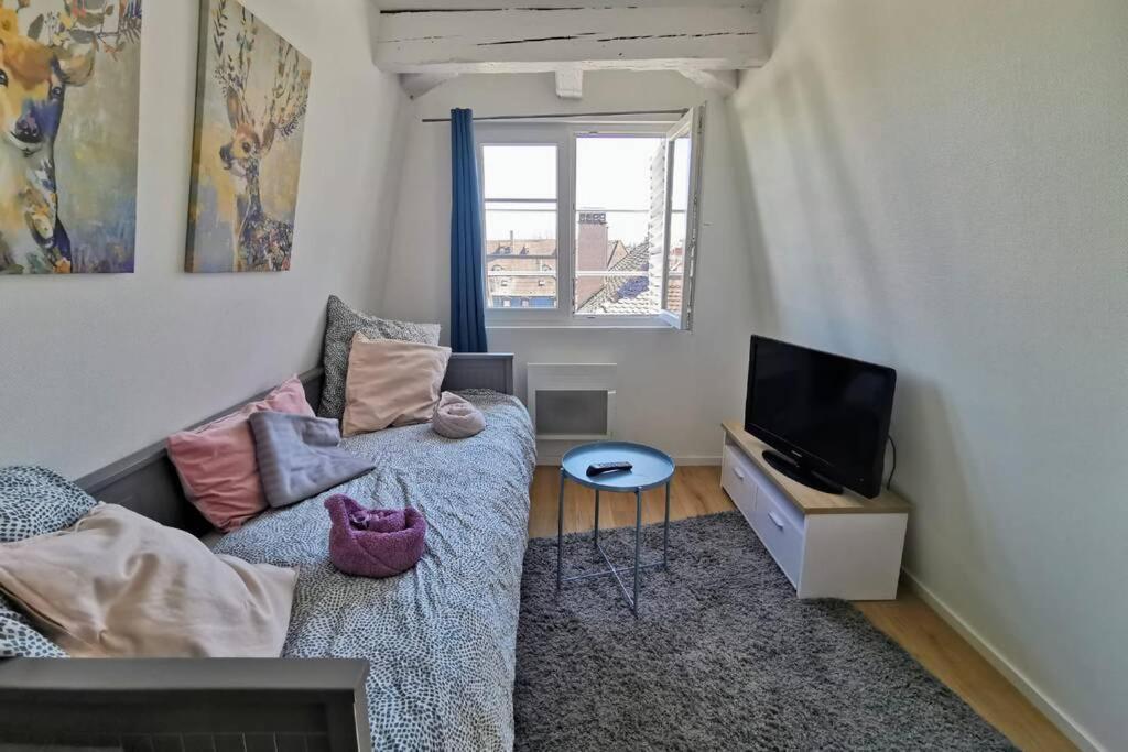 ** Appartement Cathedrale Strasbourg Centre** Ngoại thất bức ảnh
